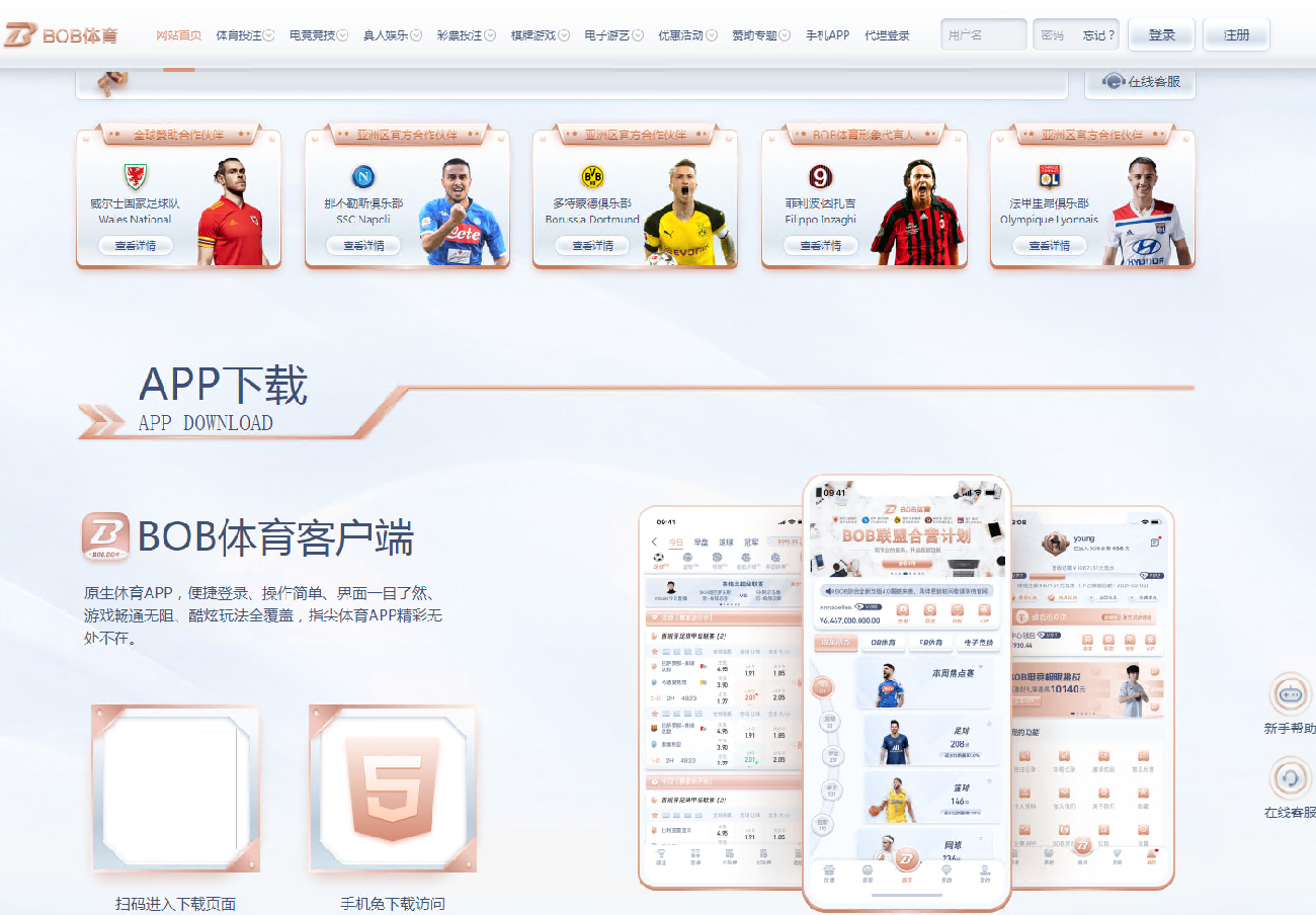 TG游戏API接口厂商BOB体育系统源码插图1