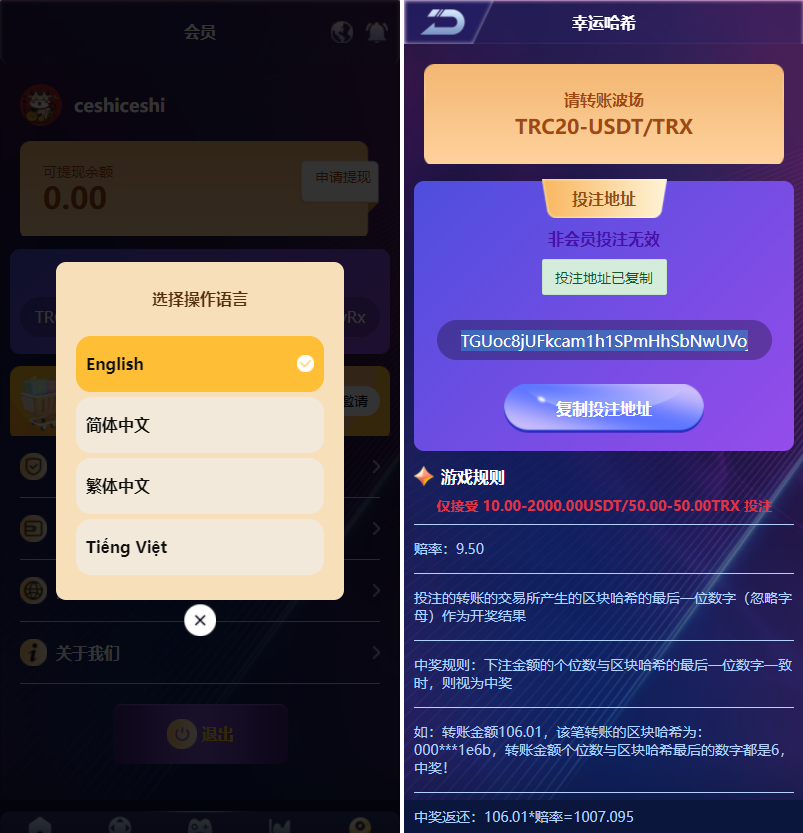 哈希竞猜完整版源码插图6