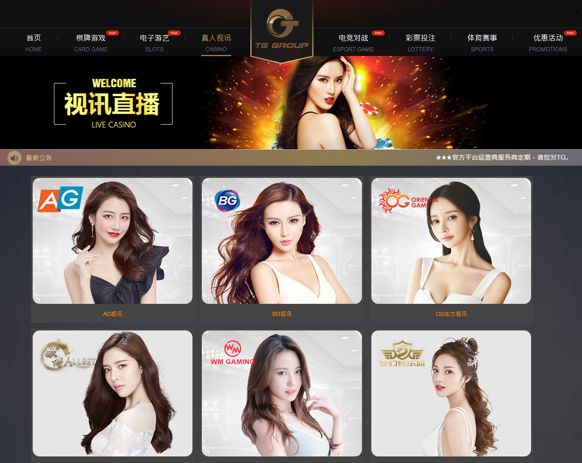 TGgroup娱乐城系统源码TG游戏API接口厂商,附搭建教程插图4