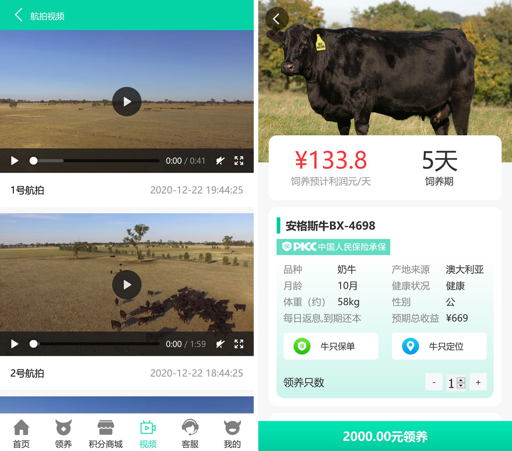 最新版牧场养牛游戏挖矿理财源码无加密，带积分商城+抽奖+会员特权插图3