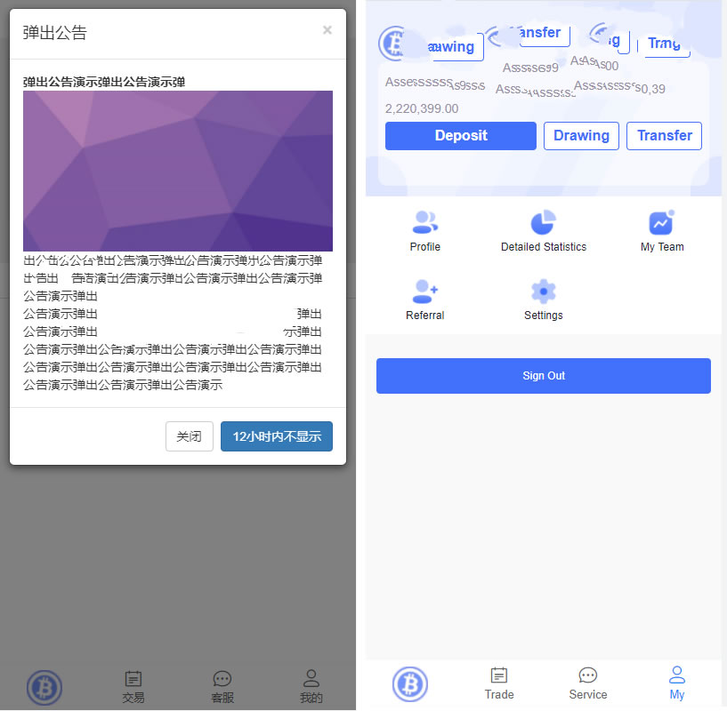 出海源码英文版+双语言版本源码+虚拟币投资系统USDT充值源码插图