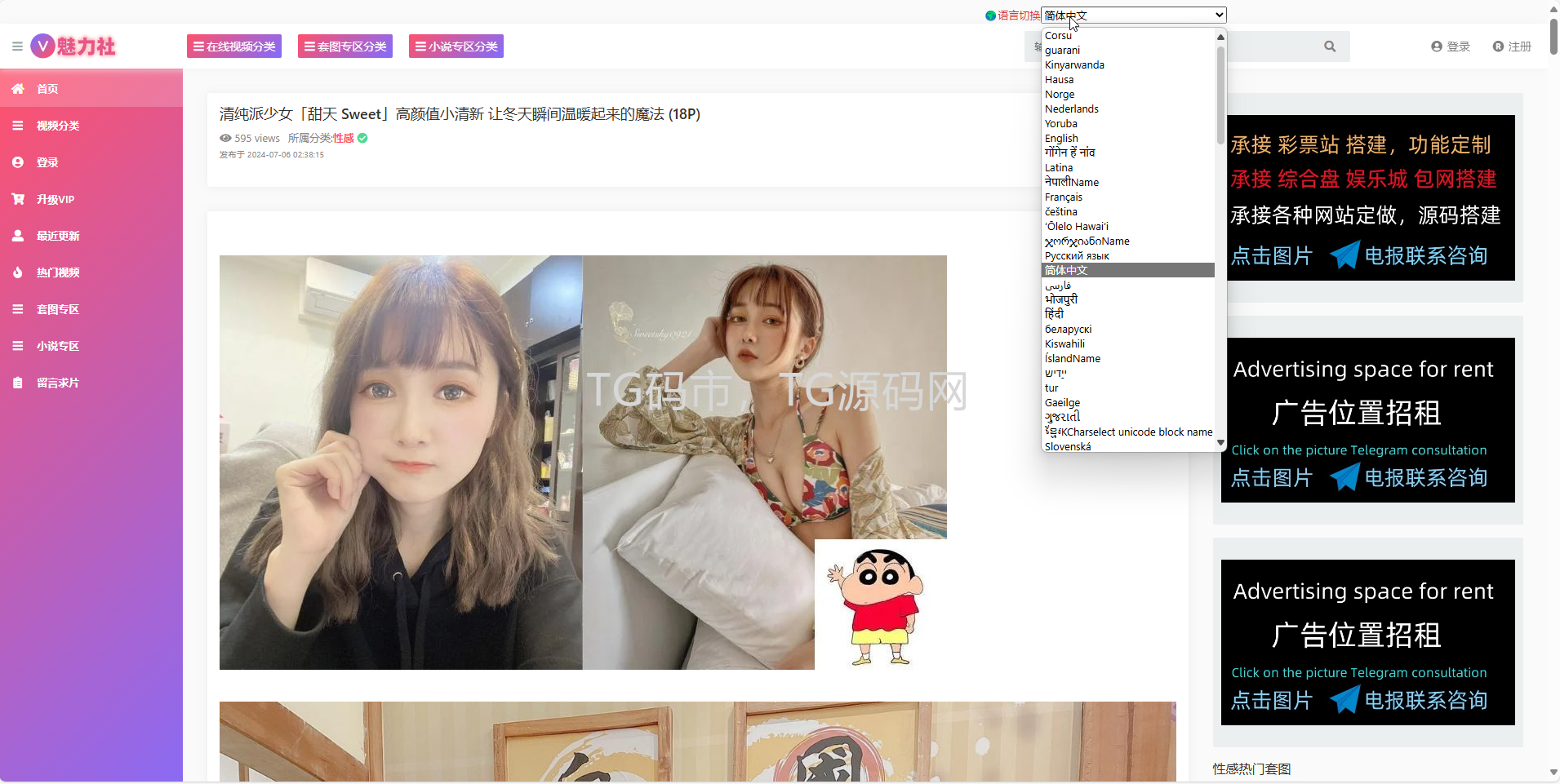运营版X站源码/色站源码/视频站源码/一键采集/试看/充值/支持30几种多国语言插图1