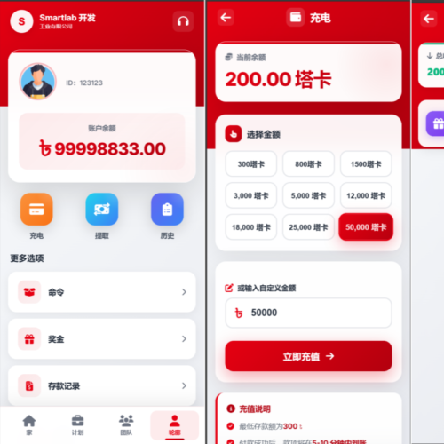 海外汽车电气投资理财源码/三级分销/可自定义产品