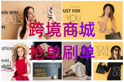 商城系统.跨境电商.搭建