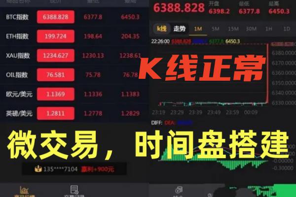 微交易/时间盘搭建,微盘搭建,一条龙服务上线运营.